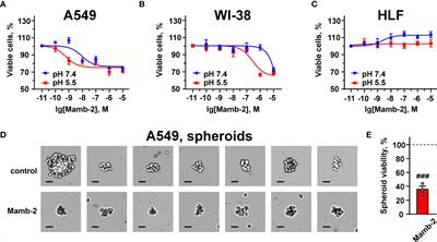 Mambalgin-2 Inhibits Lung Adenocarcinoma Growth and Migration by Selective Interaction With ASIC1/α-ENaC/γ-ENaC Heterotrimer